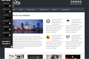 Akita Responsice WordPress Theme Example